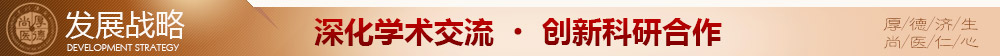 发展战略